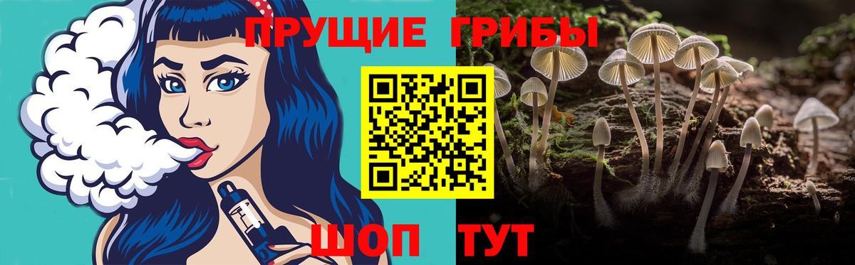 купить   Галлюциногенные грибы Cubensis  Вход с VPN  Новоуральск  Псилоцибиновые грибы прущие грибы 